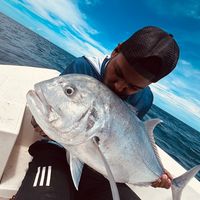 moodhu_golaa