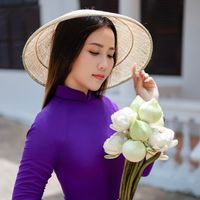 hoangyendongthap