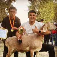 davud.ibragimovich