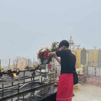 alwammaedanyar0