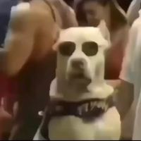 оригинальный звук