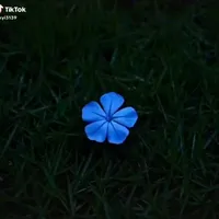 original sound - motngaykhac07