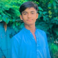 naseebzada1248