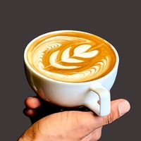 baristalab6