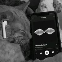 .gatxsymusic._