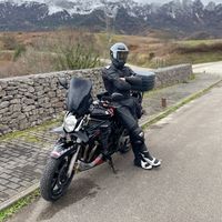 viganeitor