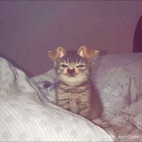 original sound - Lalayca023