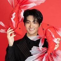pujingheng