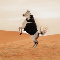 الصوت الأصلي