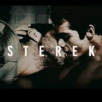 sterekforevers