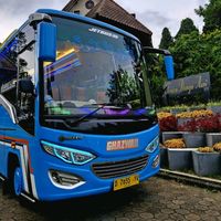 original sound - Myles