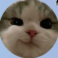 original sound - 🦇🕸Æ£€*ÆÑĐ€🦇🕸