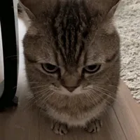 original sound - lumpalumpa58