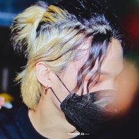 الصوت الأصلي