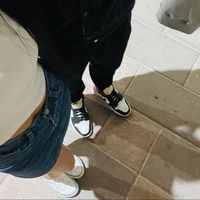 bipanaraee400