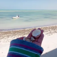 original sound - wingkiwi7