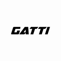 gatti.department