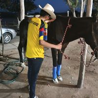 kevinsanche108