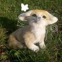 brsz_01