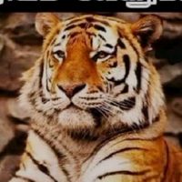 original sound - rider2180☺️