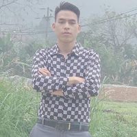 linhtoptop01991