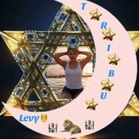 levyx100pre