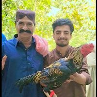 ali.gul.chandio90