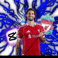 ynwa1181