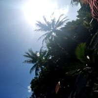 nei.taeka.kaboraa