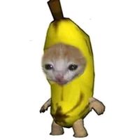 sống chung với mck