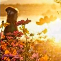 focus_onhappiness