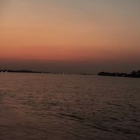 âm thanh gốc - 🐃