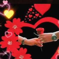 sanowarhossain376