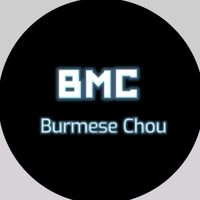 user883587253