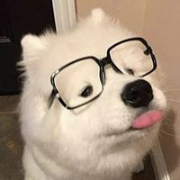 morm4rk