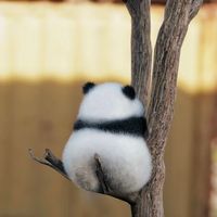 原声 - 旧时光影里的梦!