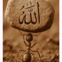 meerhashimshahwani333