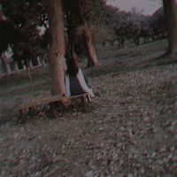 rimshaijaz