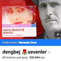 orijinal ses