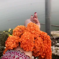 original sound - farjanayeasminemu