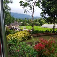 suara asli - rekamawarnieajjha