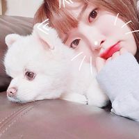 오리지널 사운드 금지