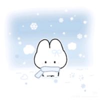 user7451319162432