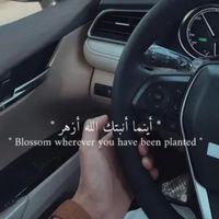 fareeshaseeb