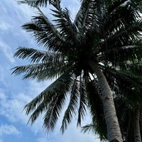 original sound - ✨Mr Smith✨