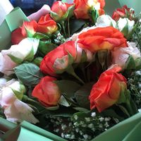 ayal_20003