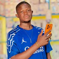 petit.boss.fort.telecom