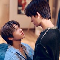 sheba_suga