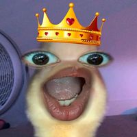 original sound - Quienpinyy