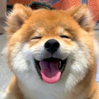 เสียงต้นฉบับ - STP